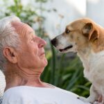 Pet Care Plan : 7 Outstanding Benefits