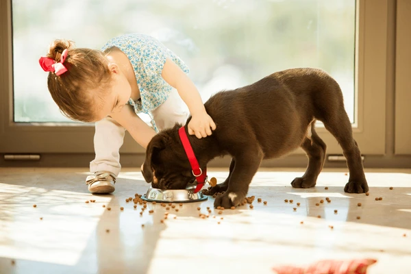 The Role of Pets in Child Development