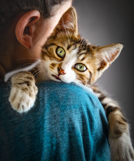 Human-Animal Bond : 5 Proven Science Researches