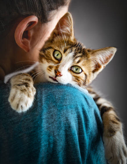 Human-Animal Bond : 5 Proven Science Researches