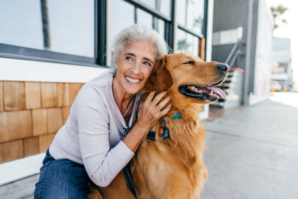 Home Adjustment For An Aging Pet