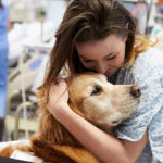 9 Outstanding Bonding Activities for Pet Owners