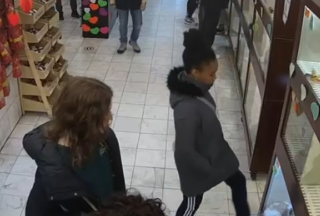 Woman kicks puppies behind glass at pet store