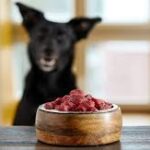 Raw Food Diets for Dogs: Uncovering the Advantages and Disadvantages