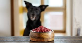 Raw food diets for dogs